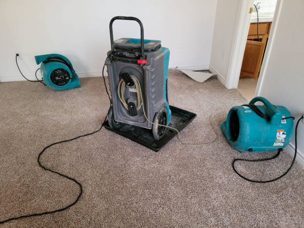 Best Basement water damage restoration  in Westmont, NJ
