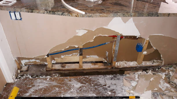 Best Sewage cleanup and water damage restoration  in Westmont, NJ