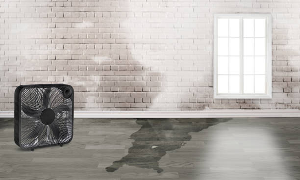 Best Residential water damage restoration  in Westmont, NJ