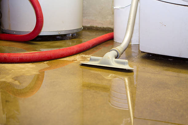  Westmont, NJ Water damage restoration Pros