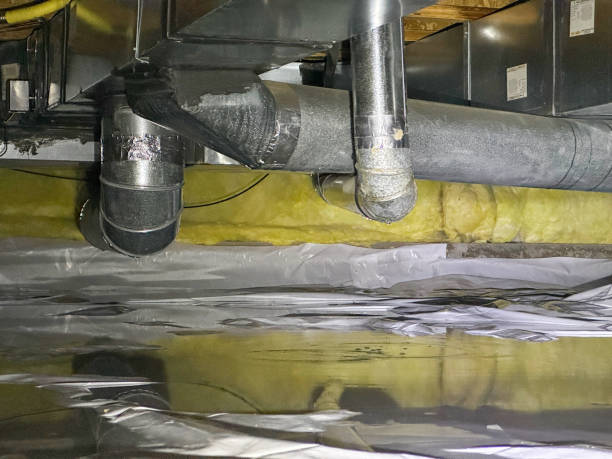 Best Local water damage restoration  in Westmont, NJ