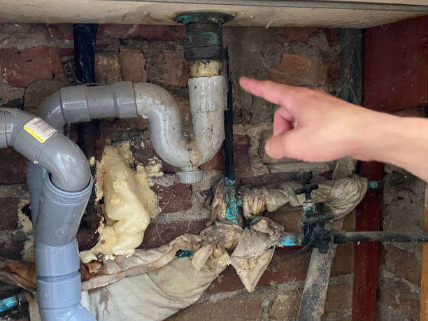 Best Water damage restoration services  in Westmont, NJ
