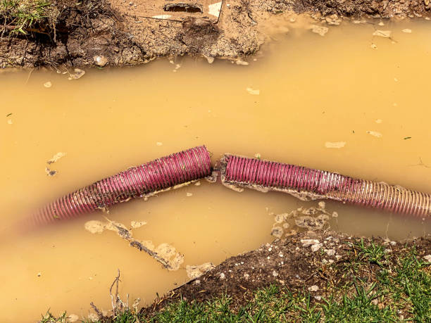 Best Flood restoration services  in Westmont, NJ