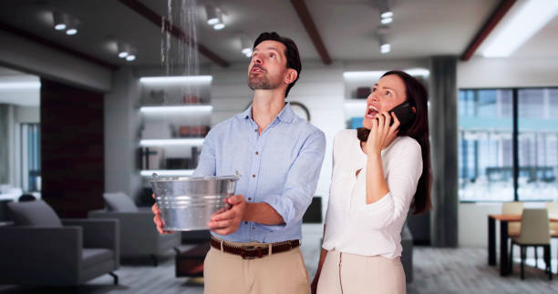 Best Flood damage cleanup  in Westmont, NJ