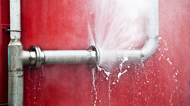 Best 24/7 water damage repair  in Westmont, NJ
