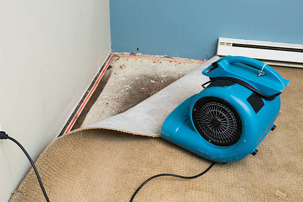 Best Water damage restoration insurance claims  in Westmont, NJ